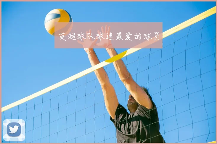 英超球队球迷最爱的球员