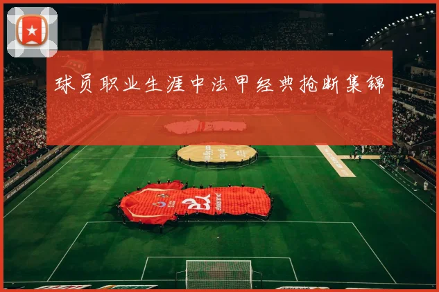 球员职业生涯中法甲经典抢断集锦